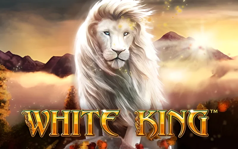 Jogo de apostar