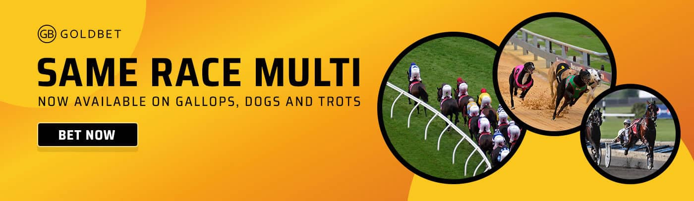 Total sport bet